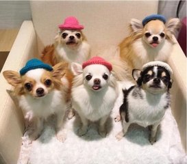 比特派里面的USDT拿不出来