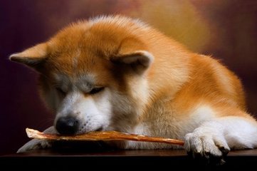 官方比特币钱包下载安装