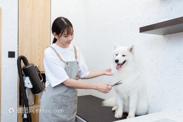 Mist钱包app官网下载钱包