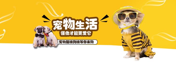 tokenpocket 钱包