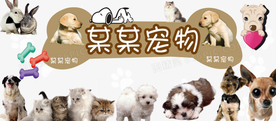 imtoken安卓版下载app