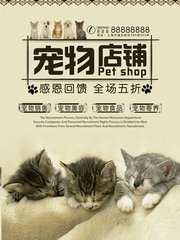 币安钱包app手机安卓下载